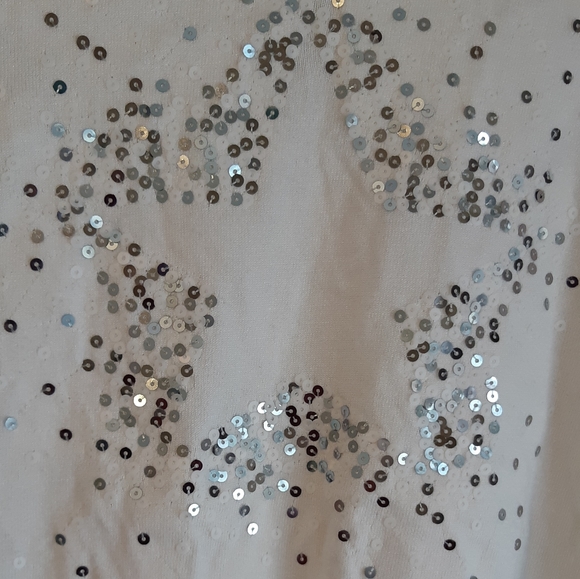 Sparkly Star Lily Morgan Sweater 1X - Picture 2 of 6